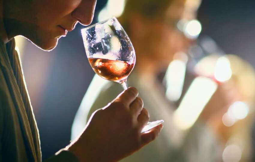 Pessoas fazendo uma degustação de vinho