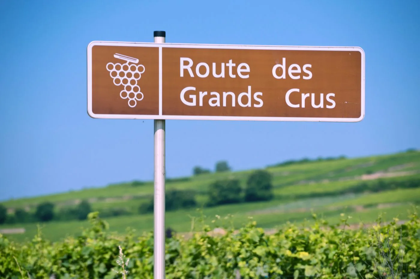 Rota dos Grand Crus franceses