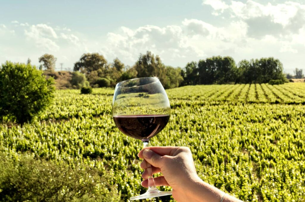 Ttaça de vinho malbec