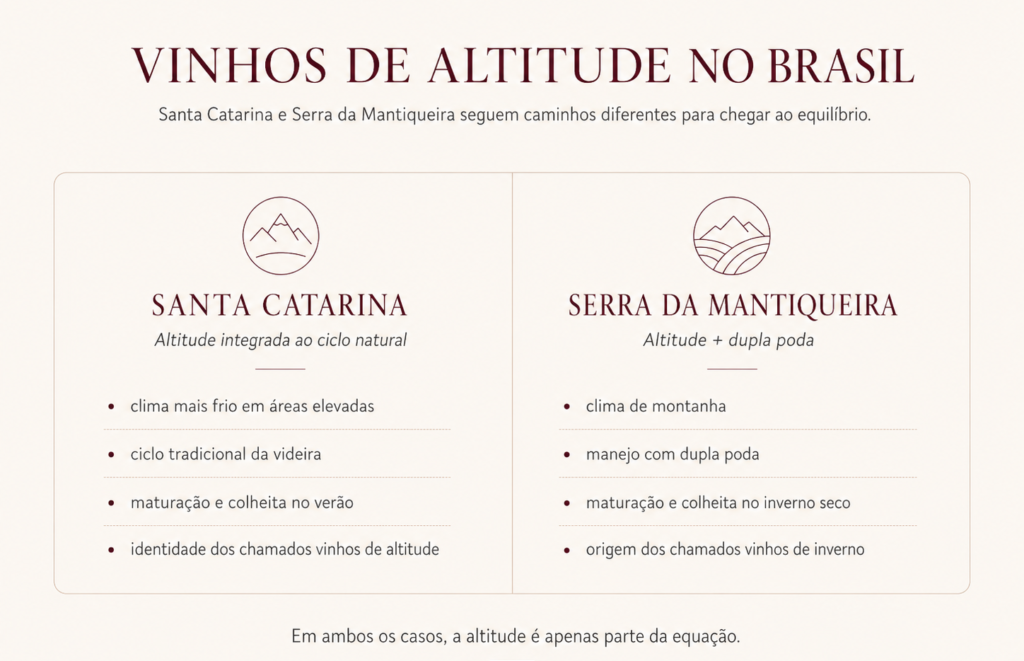 Box comparativo do vinho de altitude brasileiro: Santa Catarina × Mantiqueira