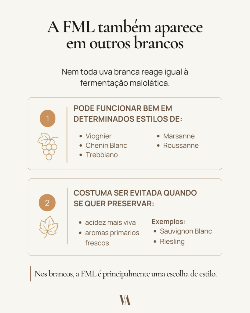 Infográfico: A fermentação malolática também aparece em outros brancos