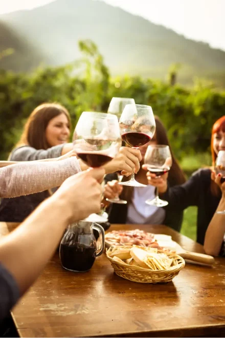 Amigos brindando com taças de vinho em meio a um vinhedo
